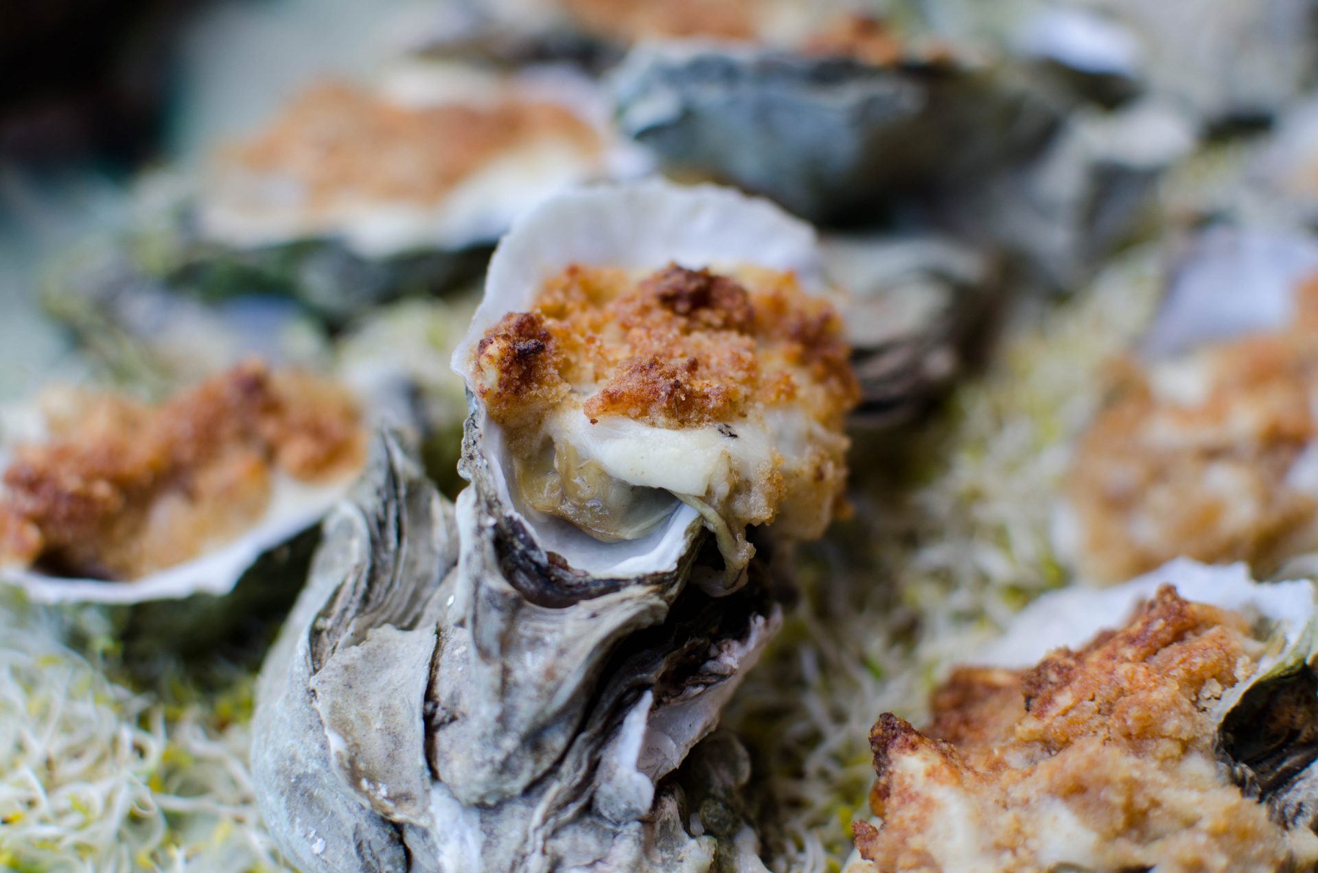 Oyster Gratin with Horseradish and Parmesan VeryVera